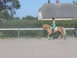 img_3196_web